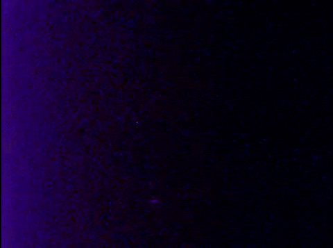 High Grass Circus (1977).mp4.10.gif