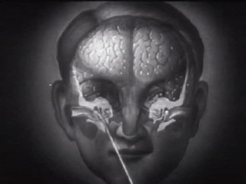 How the Ear Functions (1940).mp4.3.gif