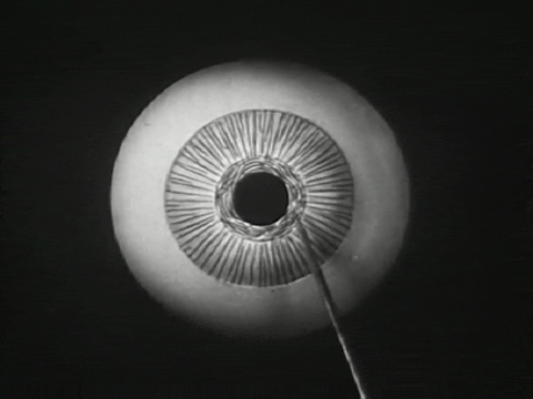 How the Eye Functions (1941).mp4.9.gif
