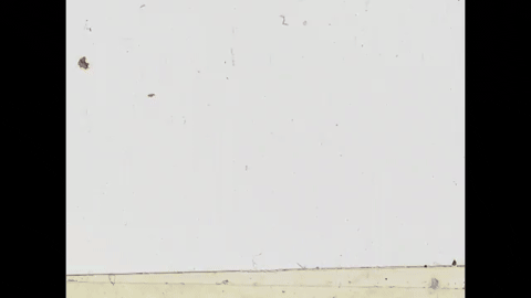 Introduction to the Cathode Ray Oscilloscope (1970).mp4.10.gif