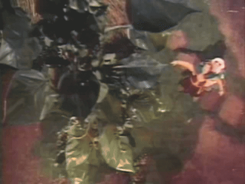 Jack and the Beanstalk (1952).mp4.3.gif