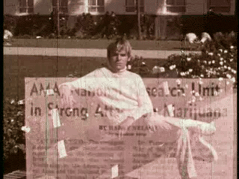 Keep Off The Grass (1969).mp4.9.gif