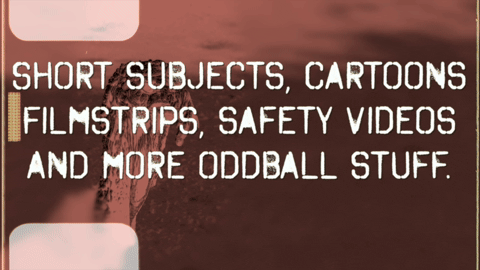 Leftoverfest Infomation (2025).m4v.9.gif