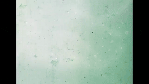 Let's Make a Film (1971).mp4.10.gif