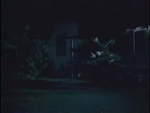 Magic Christmas Tree (1964).mp4.3.gif