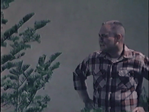 Magic Christmas Tree (1964).mp4.5.gif