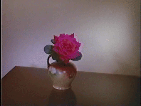 Magic Christmas Tree (1964).mp4.6.gif