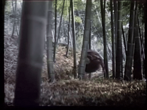 Majin, the Monster of Terror (1966).mp4.4.gif