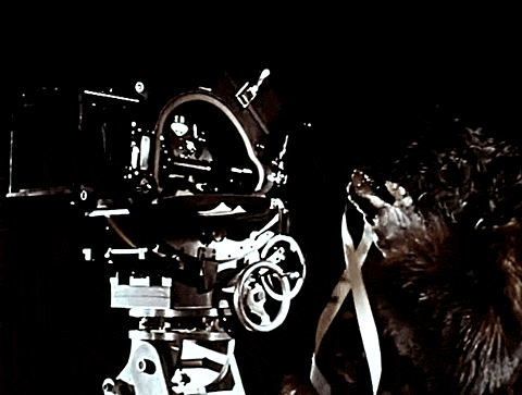 Monsters Crash The Pajama Party (1965).mp4.1.gif