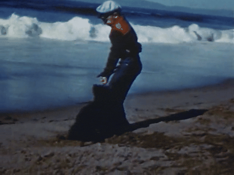 Mother Mack Trains Her Seven Puppies (1952).mp4.5.gif