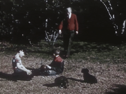 Mother Mack's Puppies Find Happy Homes (1953).mp4.1.gif