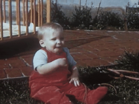 Mother Mack's Puppies Find Happy Homes (1953).mp4.5.gif