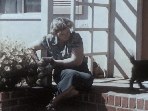 Mother Mack's Puppies Find Happy Homes (1953).mp4.6.gif