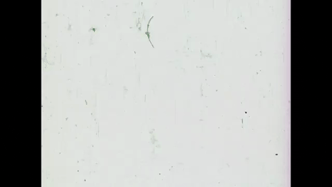 Motion Perception 1- Two-Dimensional Motion Perception (1971).mp4.10.gif