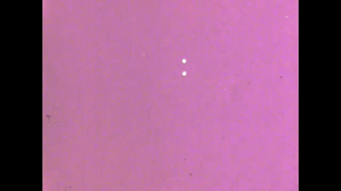 Motion Perception 1- Two-Dimensional Motion Perception (1971).mp4.2.gif