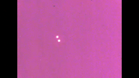 Motion Perception 1- Two-Dimensional Motion Perception (1971).mp4.4.gif