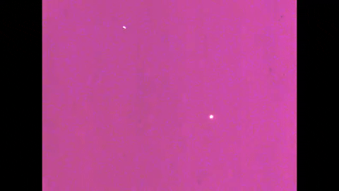 Motion Perception 1- Two-Dimensional Motion Perception (1971).mp4.5.gif