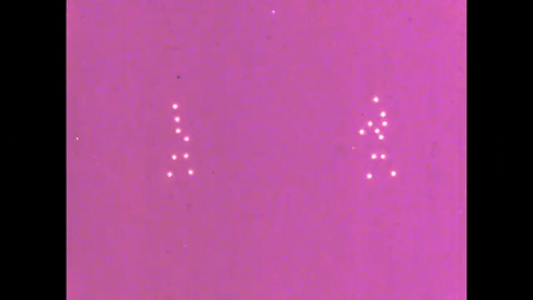 Motion Perception 1- Two-Dimensional Motion Perception (1971).mp4.7.gif