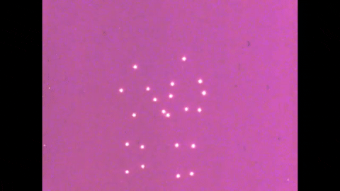 Motion Perception 1- Two-Dimensional Motion Perception (1971).mp4.9.gif