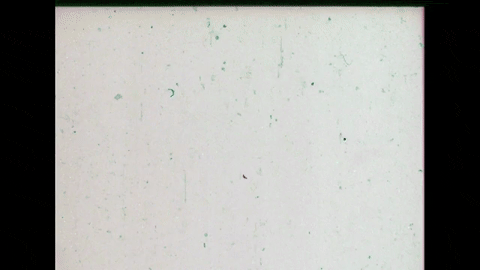 Motion Perception 2- Three-Dimensional Motion Perception (1971).mp4.10.gif
