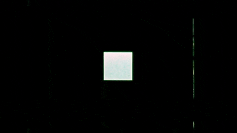 Motion Perception 2- Three-Dimensional Motion Perception (1971).mp4.4.gif