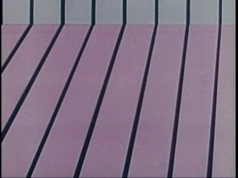 Mr. Finley's Feelings (1956).mp4.4.gif