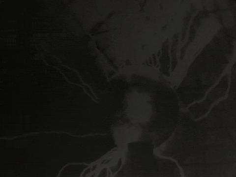 Of Science And Scientists (1957) - S01E03 - Observation And Experiment.mp4.3.gif