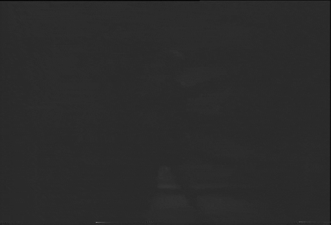 One Body Too Many (1944).mp4.7.gif