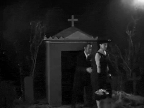 Plan 9 aka Grave Robbers From Outer Space (1957).mp4.1.gif