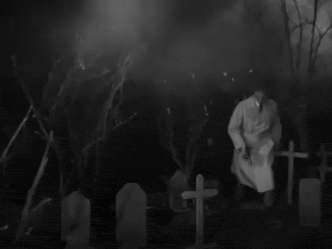 Plan 9 aka Grave Robbers From Outer Space (1957).mp4.2.gif