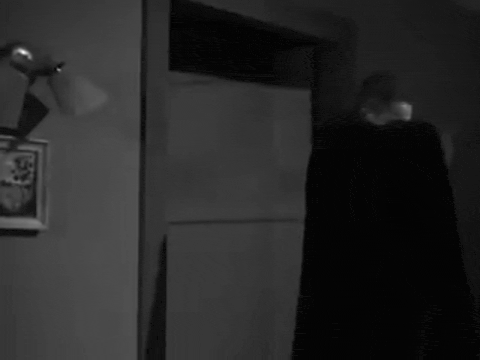 Plan 9 aka Grave Robbers From Outer Space (1957).mp4.4.gif