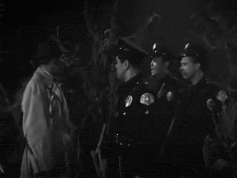 Plan 9 aka Grave Robbers From Outer Space (1957).mp4.5.gif