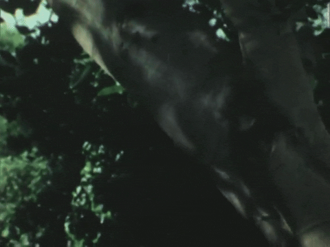 Playground Spirits (1972).mp4.1.gif