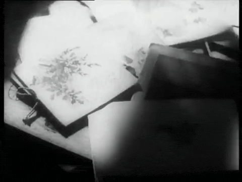 Post Early For Christmas (1943).mp4.5.gif