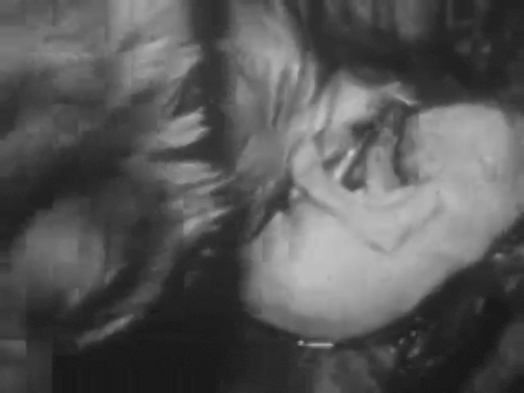 Private Life of A Cat (1947).mp4.2.gif