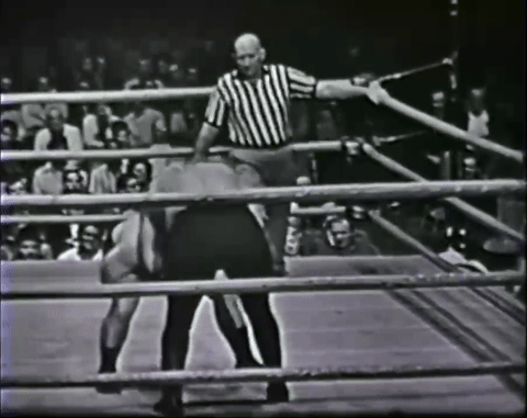 Pro Wrestling - Buddy 