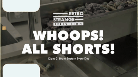 Promo - RSTV Whoops All Shorts 1 (2026).m4v.2.gif