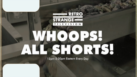 Promo - RSTV Whoops All Shorts 1 (2026).m4v.3.gif