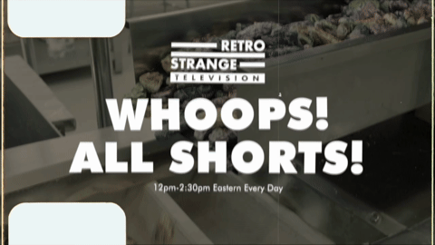 Promo - RSTV Whoops All Shorts 1 (2026).m4v.4.gif