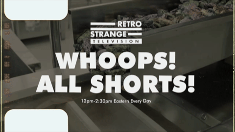 Promo - RSTV Whoops All Shorts 1 (2026).m4v.5.gif