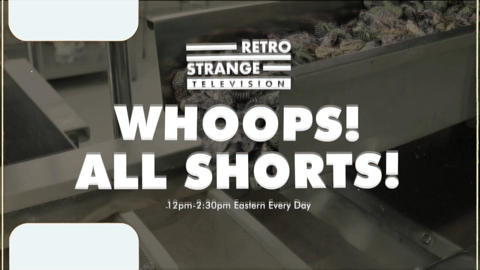 Promo - RSTV Whoops All Shorts 1 (2026).m4v.6.gif