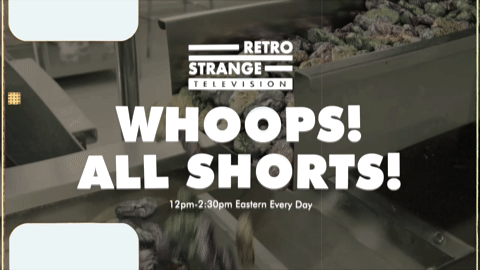 Promo - RSTV Whoops All Shorts 1 (2026).m4v.7.gif