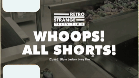 Promo - RSTV Whoops All Shorts 1 (2026).m4v.8.gif