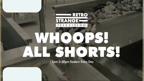 Promo - RSTV Whoops All Shorts 1 (2026).m4v.9.gif