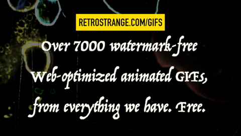 Promo - RetroStrange GIF Library 1 (2024).m4v.8.gif