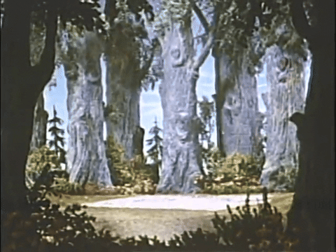 Ray Harryhausen's Hanseland and Gretel (1951).mp4.5.gif