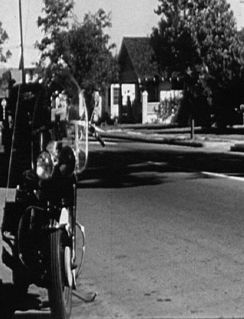 Road Runners (1952).mp4.1.gif