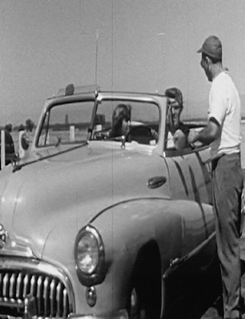 Road Runners (1952).mp4.2.gif
