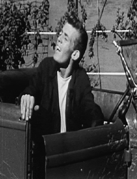 Road Runners (1952).mp4.4.gif