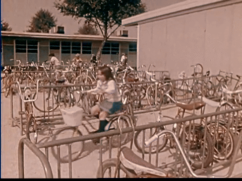 Roscoe's Rules (1960).mp4.5.gif